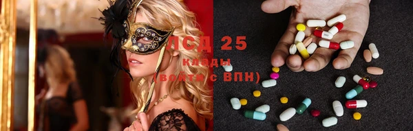 амф Вяземский