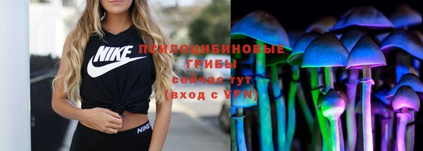 ешки Вязники