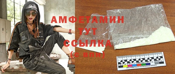 амф Вяземский