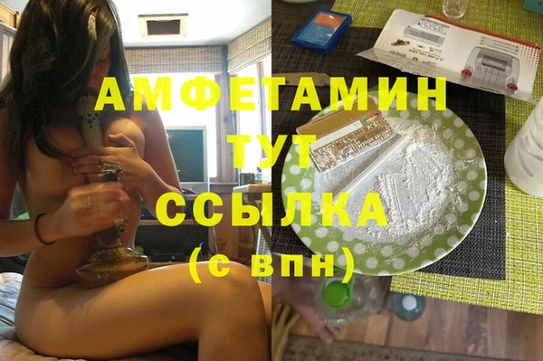 амф Вяземский