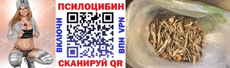 Галлюциногенные грибы прущие грибы  как найти закладки  Пласт 